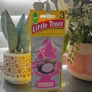 Dragon Fruit Air Freshener — Pink (3-Pack)